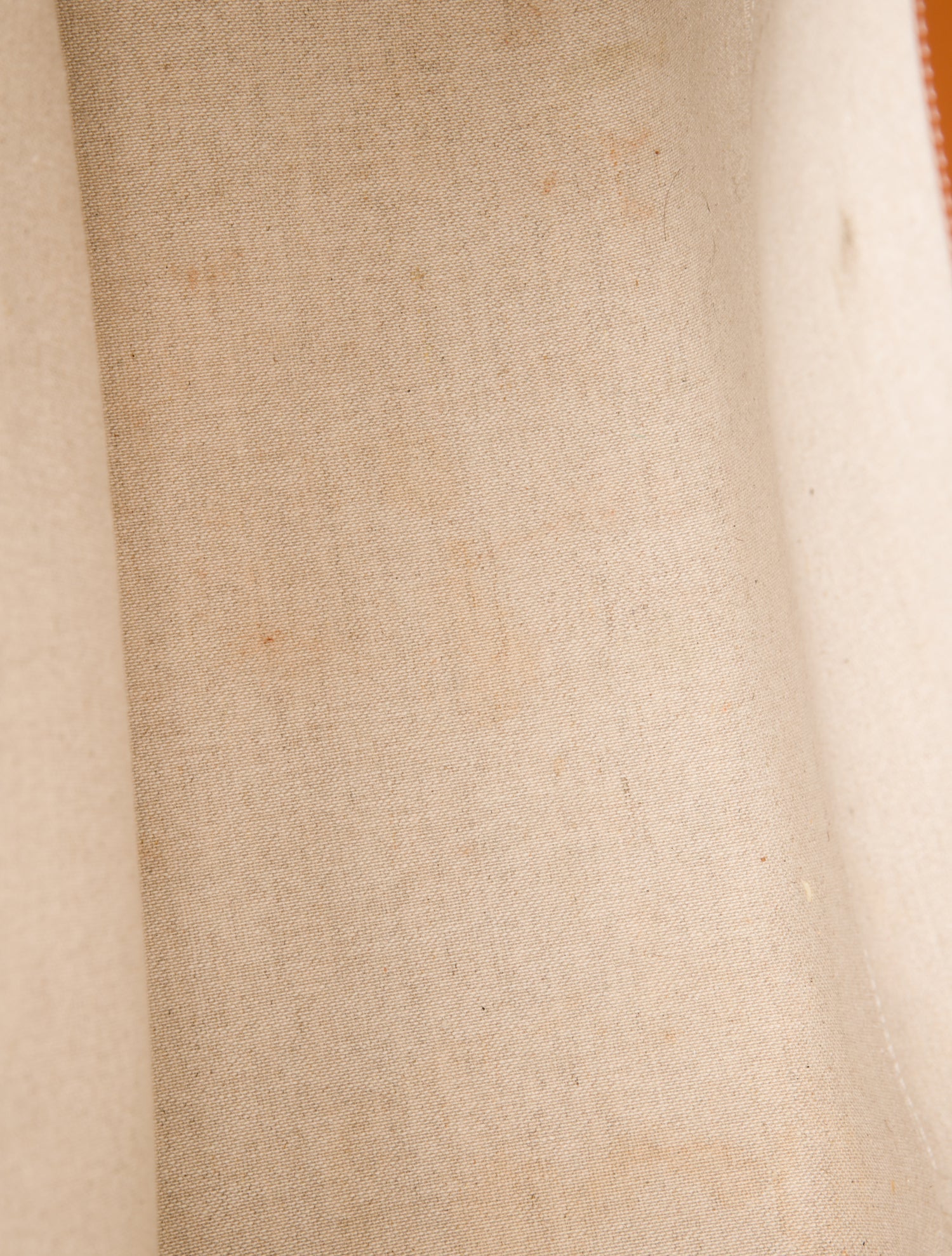 Celine Canvas Cabas Thais Tote Large